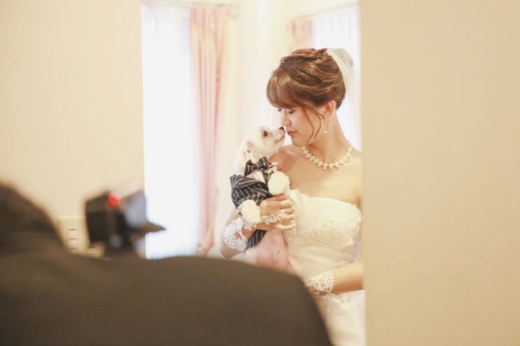 「ぼくのご主人さまの結婚式」