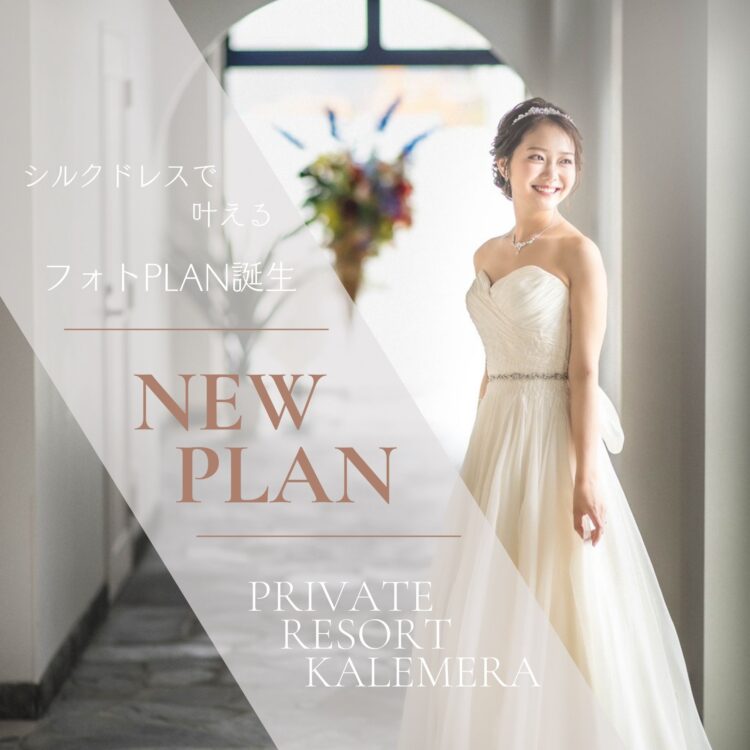 グランマニエドレスで叶えるフォトPLAN誕生