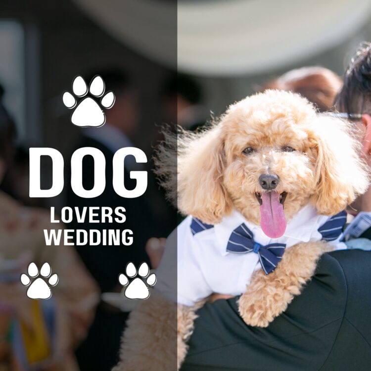 《DogLovers Wedding》愛犬とウエディング♪
