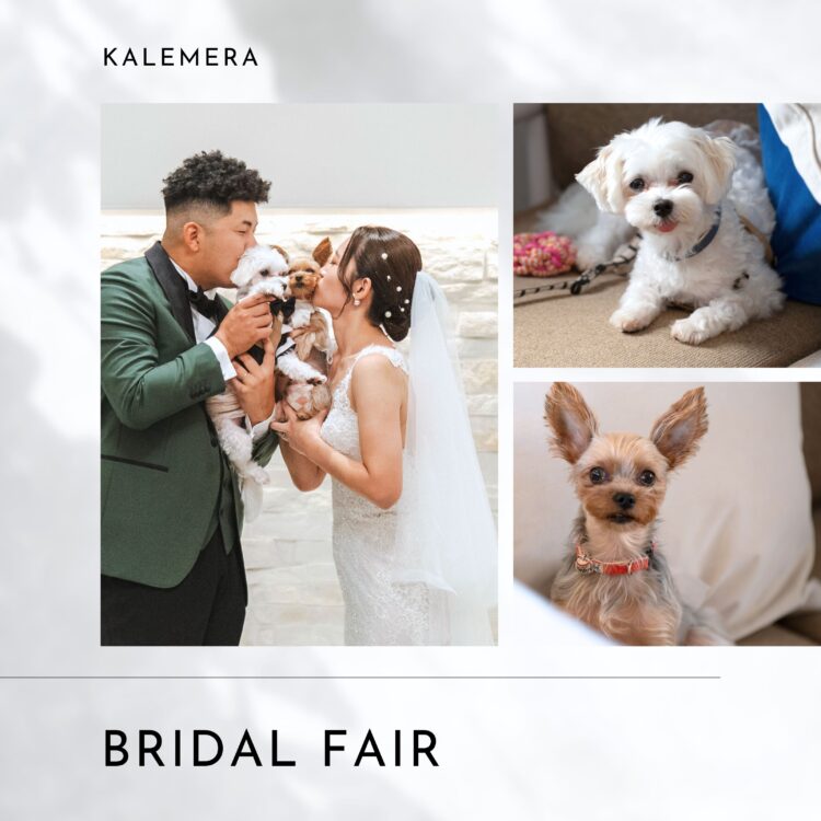 ＼1日限定1組／【愛犬＊ペットと一緒にブライダルフェア♪】試食＆特典付き