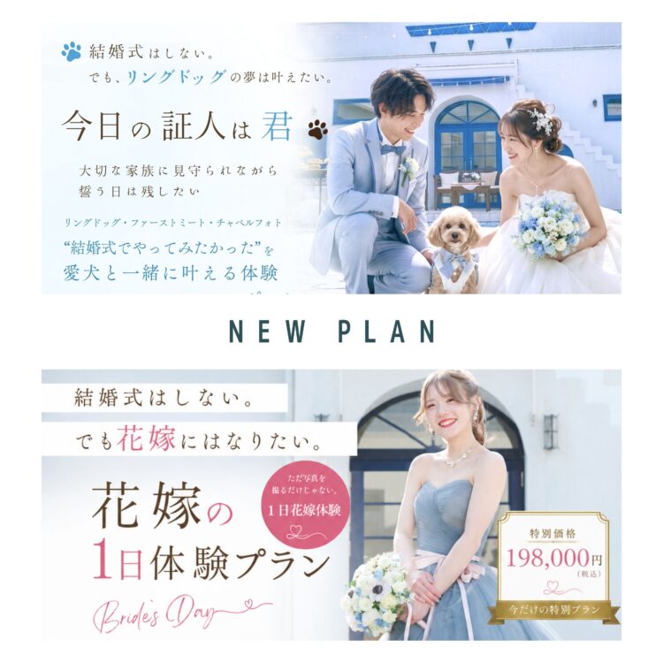 NEW フォトプラン誕生